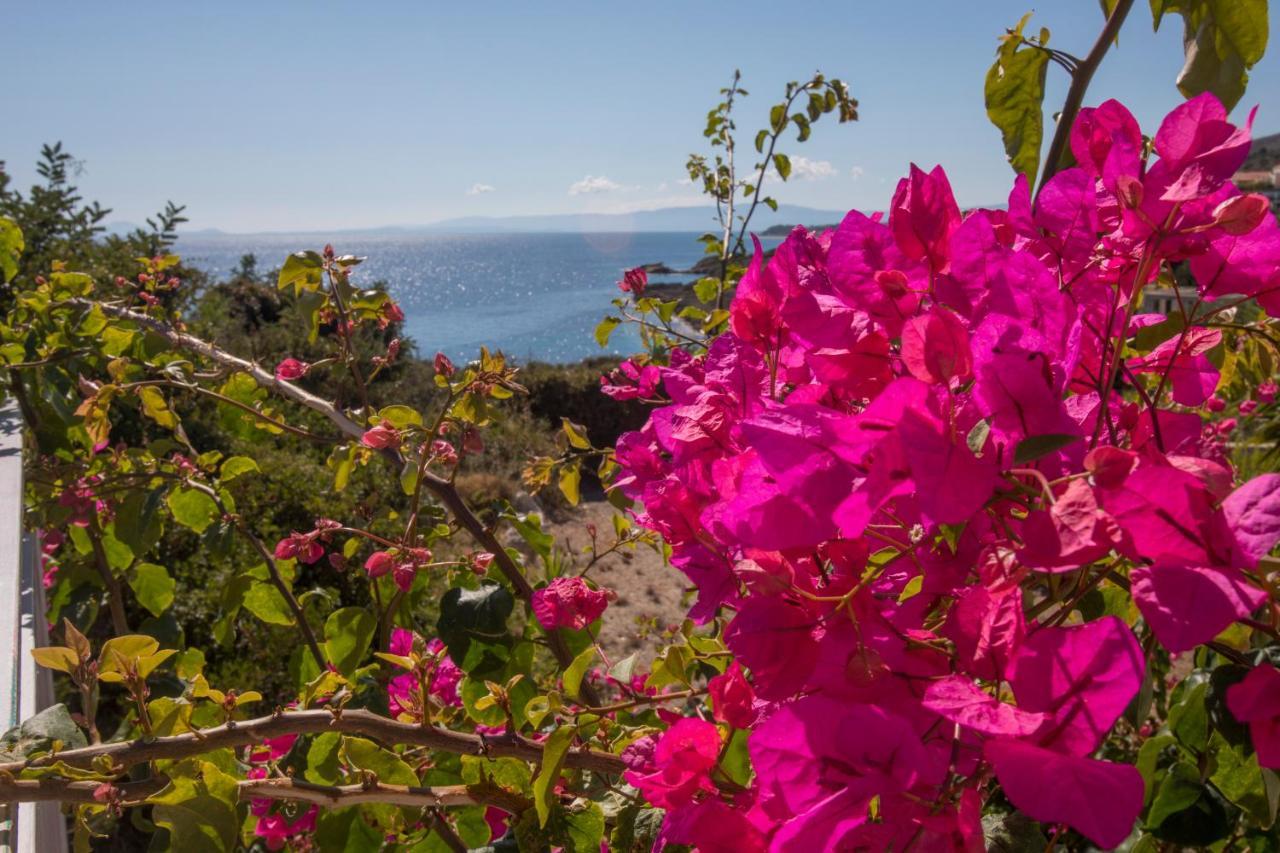 Sea View Villa 2 Skala  Екстер'єр фото